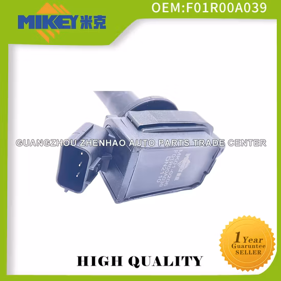 Top-Qualität Autoteil Autozubehör Zündspule für Geely Vision Emgrand Ec7 Englon Sc7 Starfish Gc7 4G18 4G15 OEM: F01r00A039