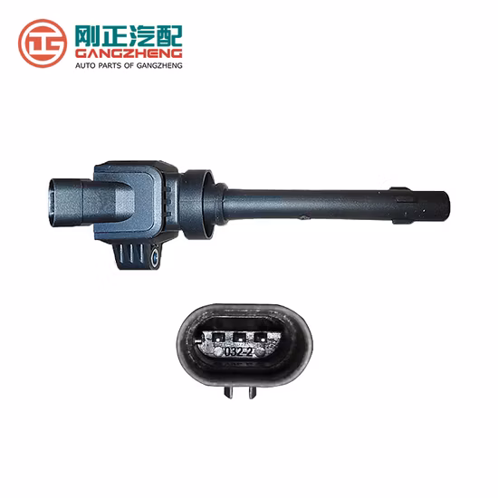 Auto-Autoteile-Zündspulen für Dongfeng Fengguang 580 (F01R00A160)