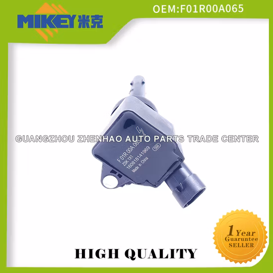 Hochwertige Autoteil-Zündspule für Byd G6 Byd Fast Sharp 1,5t Byd Song/Byd G6 New F3 Qin S6 Sirui G5 S7 Fast Sharp 1,5t 476 OEM: Foir00A065